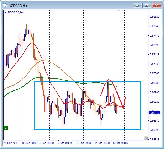 その後のnzdcad